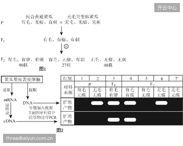 天津探花签选择成关键，或挑选即战力得分手改善半场攻坚。